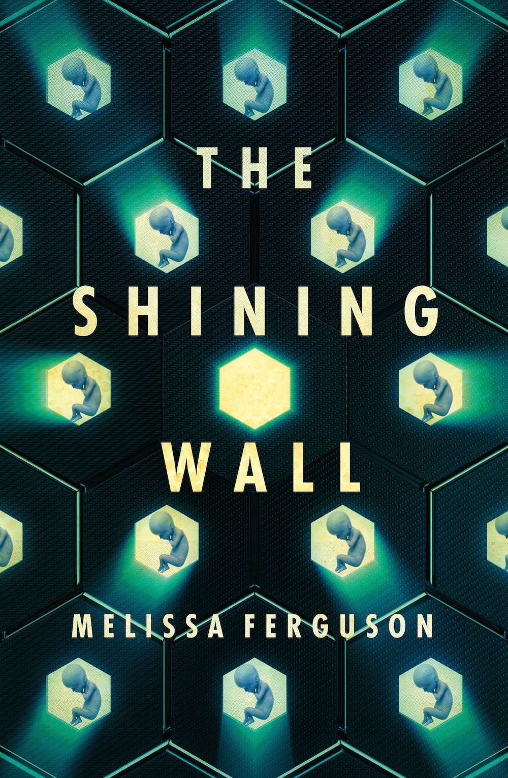 The Shining Wall by Melissa Ferguson