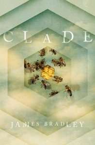 clade