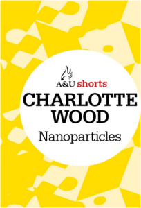 Nanoparticles big