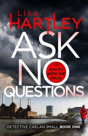 Ask No Questions - Lisa Hartley - Detective Caelan Small Book 1